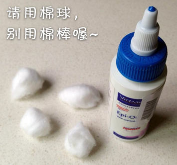 春暖花开，小毛病归来 ——预防猫藓、耳螨、掉毛、吐毛球的办法