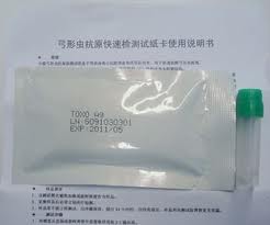 怀孕期间如何科学养狗 怀孕期间如何科学养狗