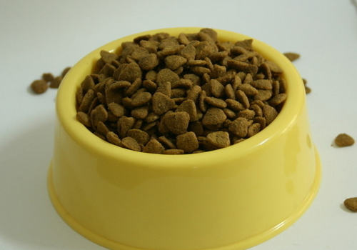 狗狗吃完驱虫药拉稀怎么办