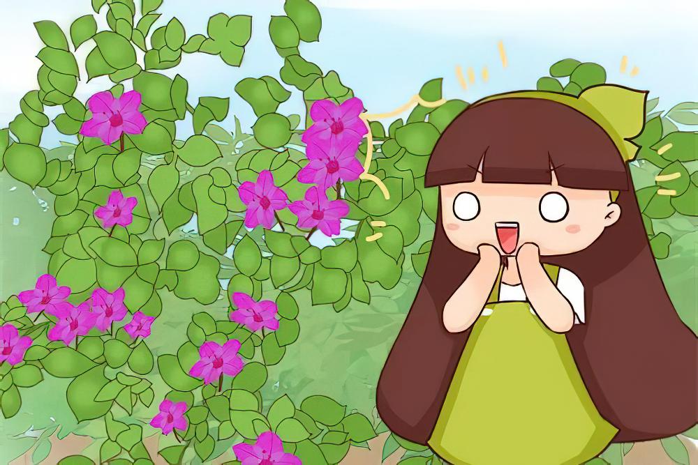 不用扦插的5种花，扔土里呼呼冒一片，1盆能养出100盆！