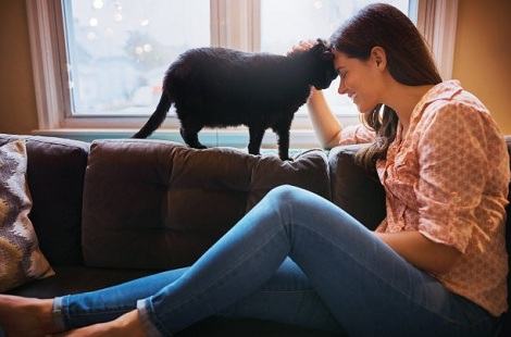 WOWO猫粮: 选猫粮只盯着排名看?适合自家猫咪的才是好的