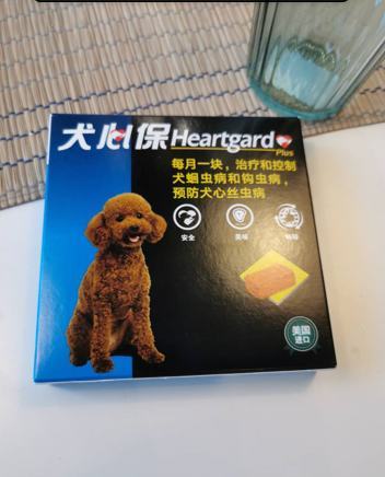 狗拉稀怎么办？你需要知道狗拉稀的原因！