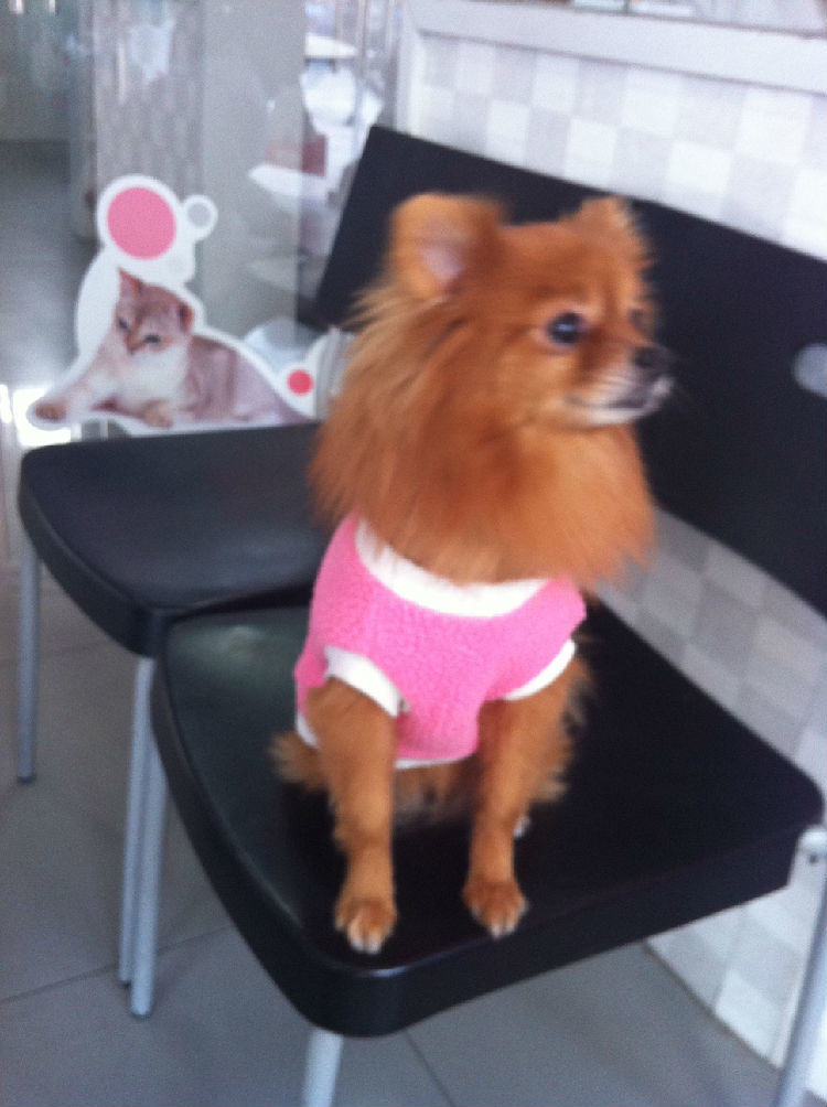 冬季，你的宝贝要怎么过？