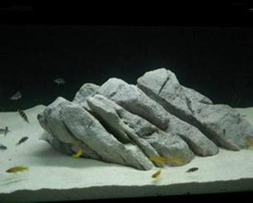 观赏鱼缸的常见岩石种类