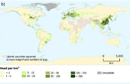 猫咪能吃猪肉吗？