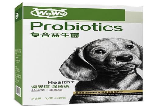 懂得适当给狗狗补充益生菌，帮助狗狗避免肠胃不适