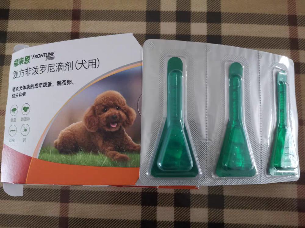 狗狗驱虫要领，你可能还不知道