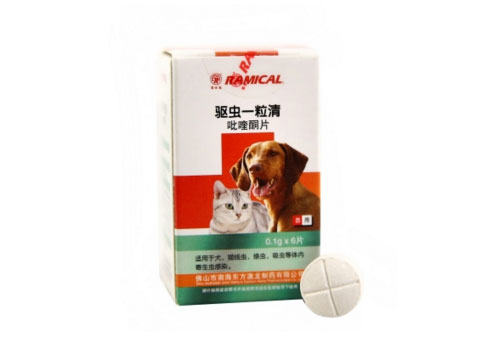 猫咪驱虫要定时定量吗？