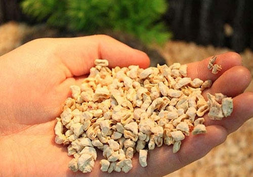 仓鼠用品之垫材的购买注意事项