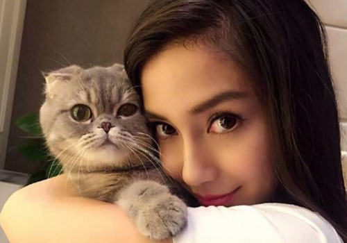 姚晨怀抱猫咪，为什么明星都爱猫？