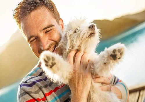 获得狗狗信任的方法都有哪些? 获得狗狗信任的方法都有哪些?