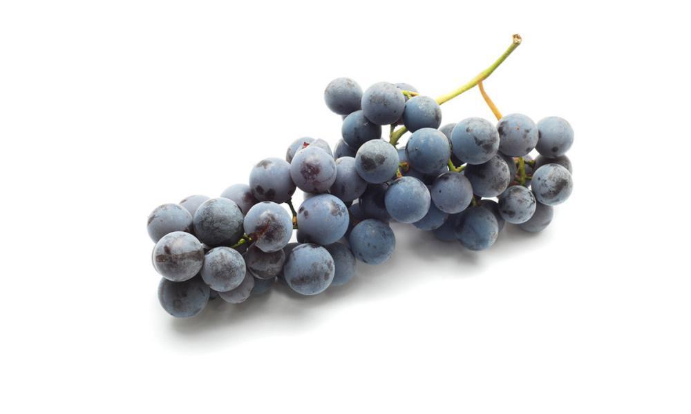葡萄有什么颜色，不同品种和成熟度颜色不同