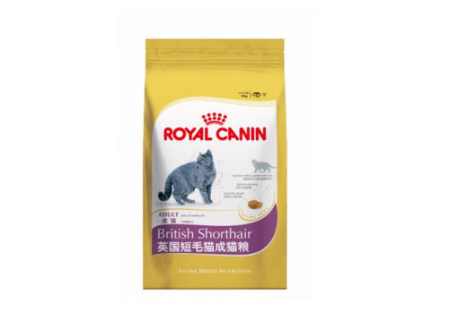 英国短毛猫正确的饲养方式是什么?