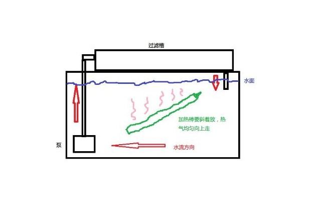 水族箱使用加热棒的注意事项