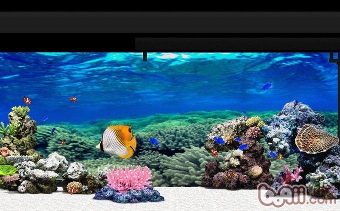 水族箱景观如何设置