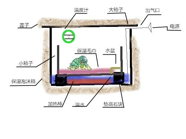 宠物龟加温过冬的几种方法介绍