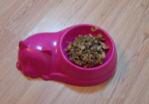 【美食攻略】自制猫咪鳕鱼餐 【美食攻略】自制猫咪鳕鱼餐