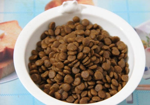 猫粮选择时需看清成分 猫粮选择时需看清成分