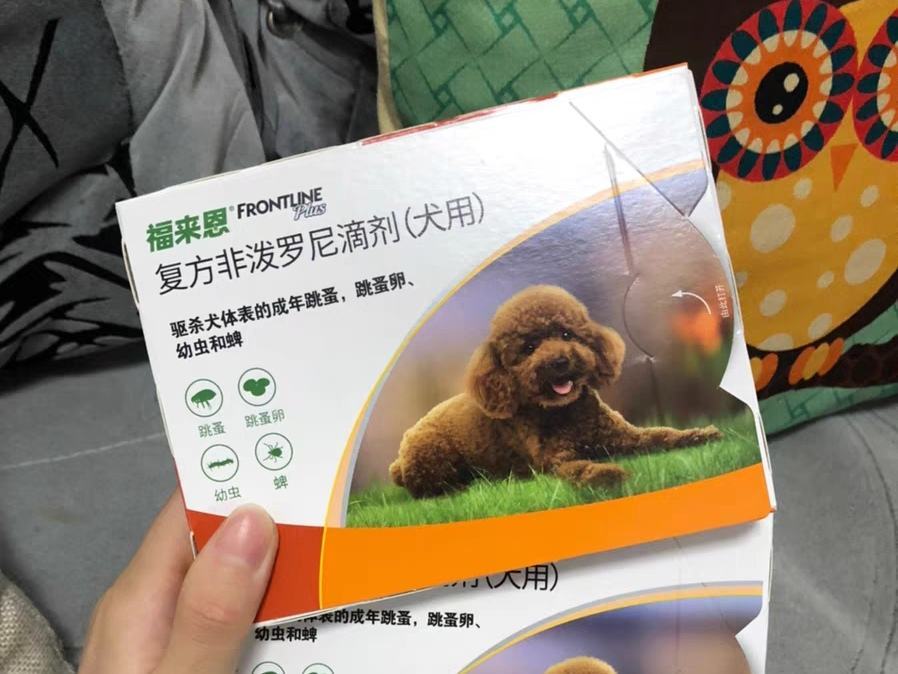 狗被蜱虫咬了怎么办？教你一个快速有效的办法