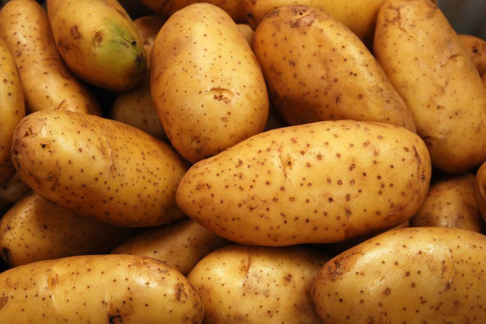 种土豆个大的秘诀