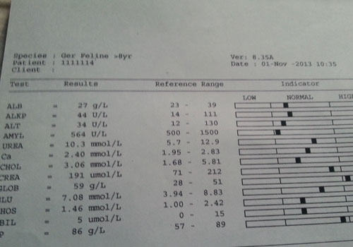 为什么要给猫咪做血液生化指标的检查 为什么要给猫咪做血液生化指标的检查