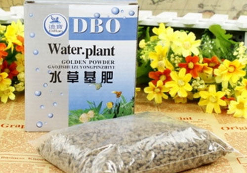 水族箱水草需要什么营养? 水族箱水草需要什么营养?