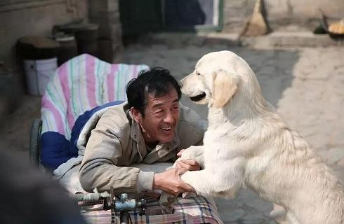 狗狗到底有多忠诚？