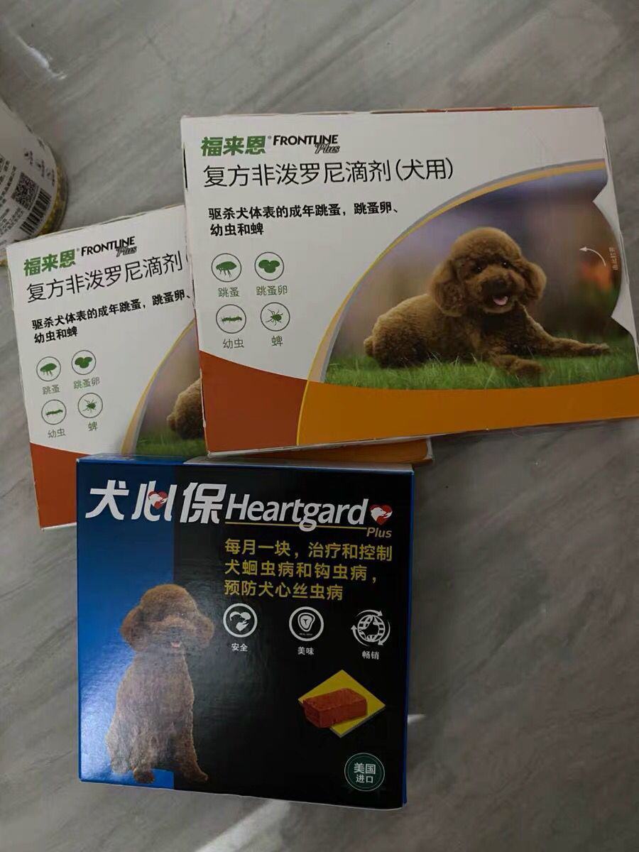 心丝虫怎么预防？犬心保细节控