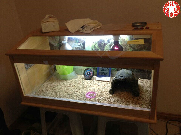 你知道各种各样的爬虫灯具有什么作用吗