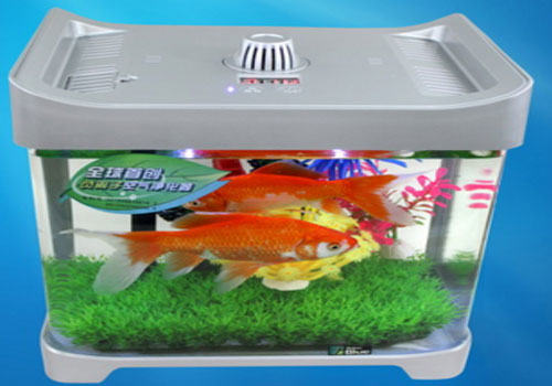 观赏鱼鱼缸的玻璃胶怎么选？