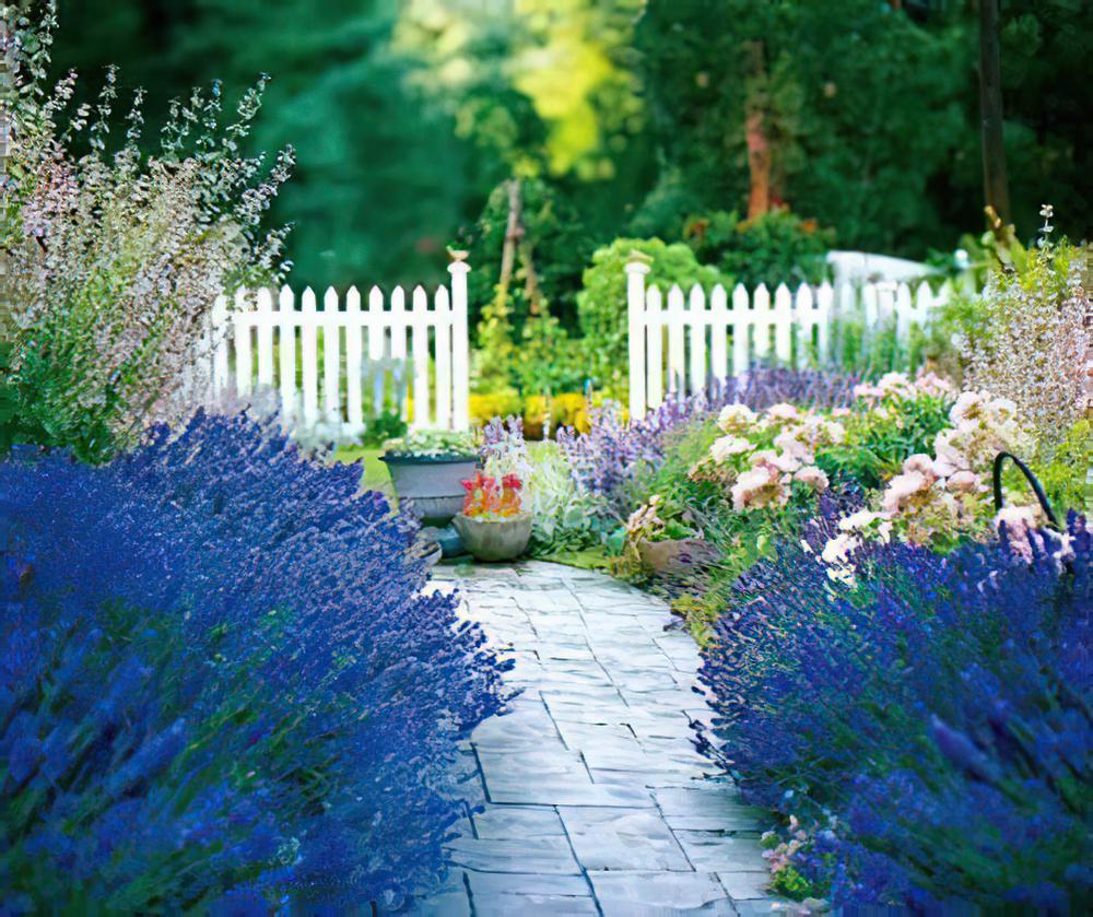 专家支招 夏季花园的完美方案