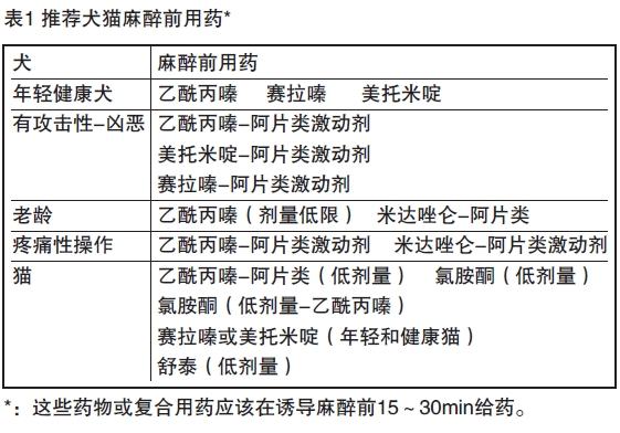 猫咪绝育针麻与气麻的对比