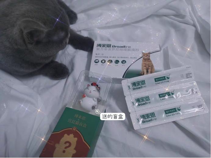 猫咪驱虫怎么做?80%的人都做错了! 猫咪驱虫怎么做?80%的人都做错了!