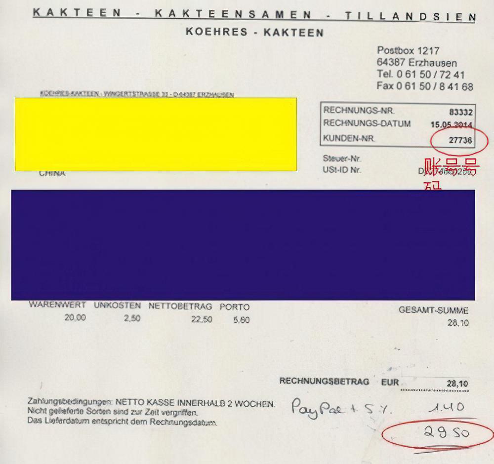 第一次购买KK种子的亲身经历与经验，这个过程其实挺有趣的