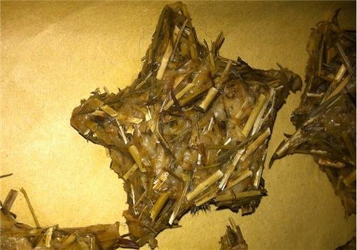 【美食攻略】自制兔兔吃的草饼
