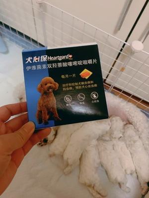 幼犬体内驱虫哪个好？安全健康才是王道