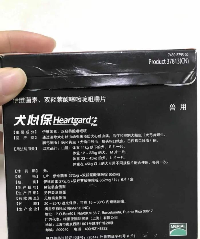 小狗拉肚子怎么办?体内驱虫是关键! 小狗拉肚子怎么办?体内驱虫是关键!