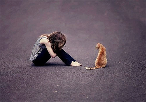 如何处理离世的爱宠 如何处理离世的爱宠