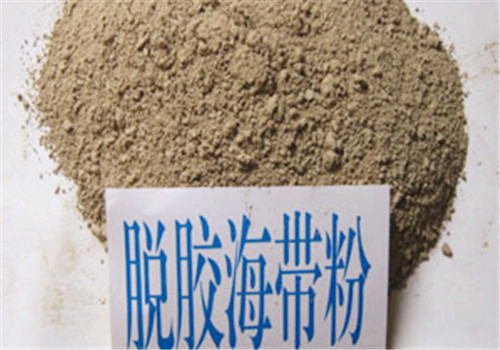 龟食用海带粉的制作工艺 龟食用海带粉的制作工艺