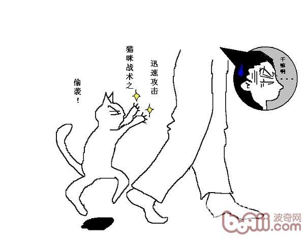 猫咪行为图解:养过猫的都懂