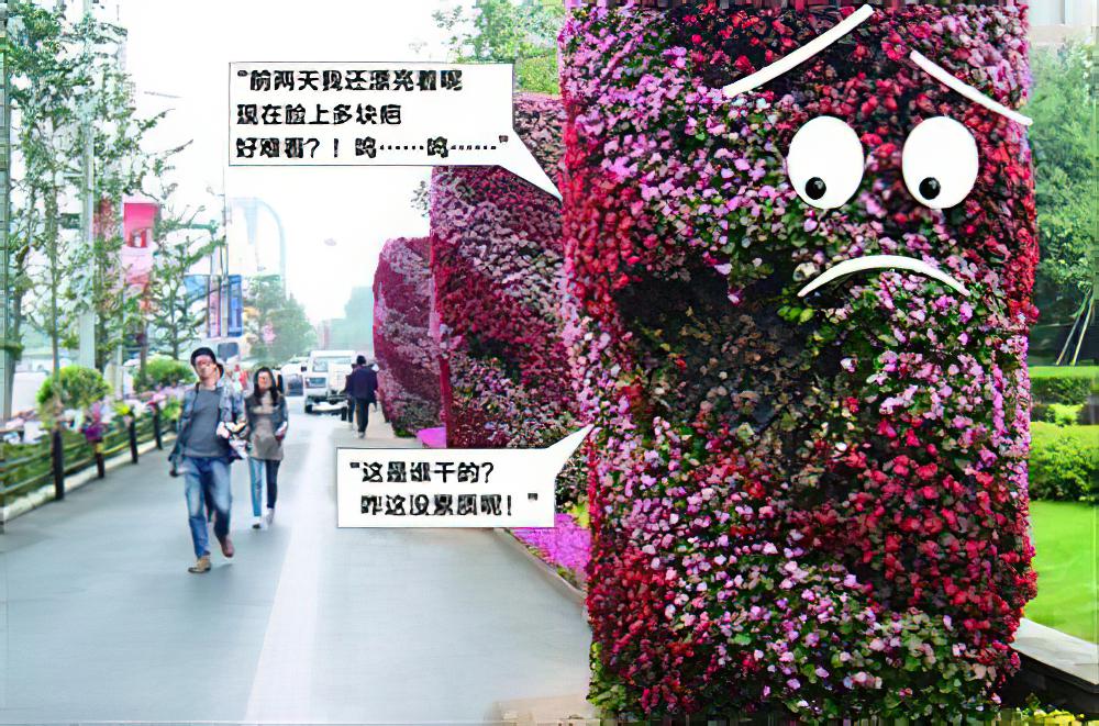 辽宁沈阳：大片鲜花被拽掉 街边花柱脸长疤