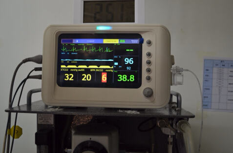 松狮犬膝关节手术与麻醉意外应急处理