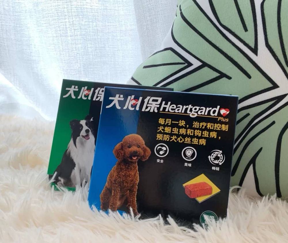 铲屎官们，你们知道心丝虫吗？