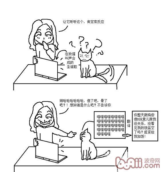 猫咪行为图解:养过猫的都懂