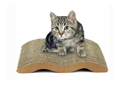 为什么要使用猫抓板