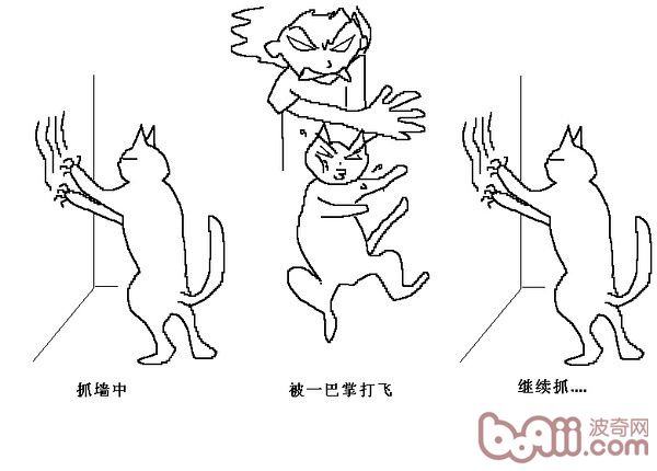 猫咪行为图解:养过猫的都懂