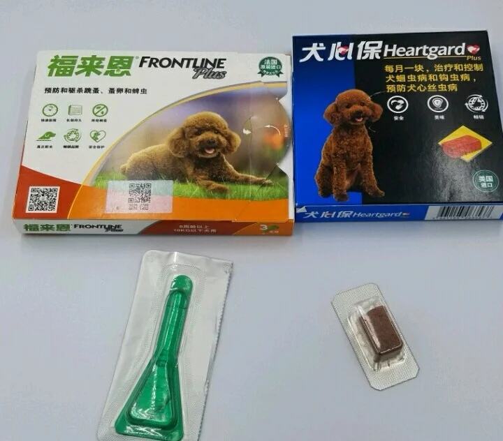 小狗拉肚子怎么办？犬心保黄金搭档