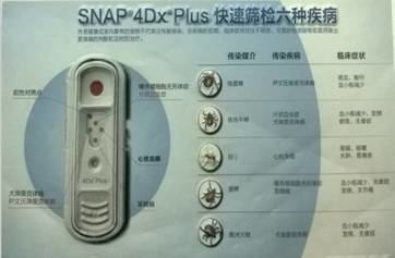 一例蜱虫叮咬的病例分析