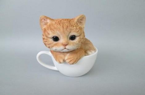 小猫打喷嚏有问题吗？怎么办？