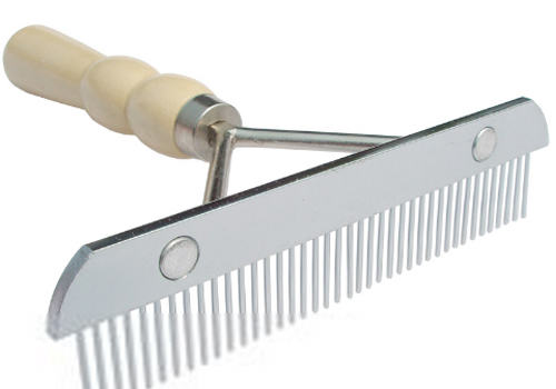 养喜乐蒂会碰到哪些问题